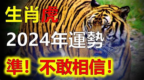 明年龍年|2024年龍年12生肖運程分析｜事業、感情、財運、健 